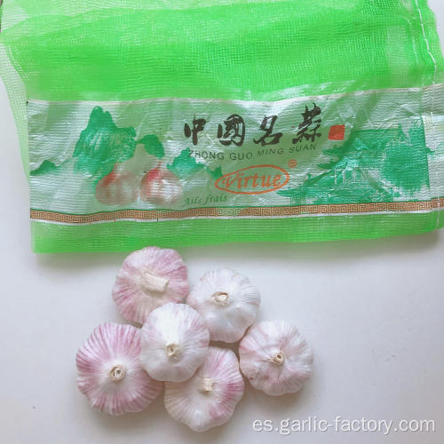 Ajo blanco normal en paquetes de jin xiang
